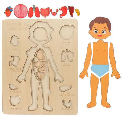 Montessori Human Body Puzzles