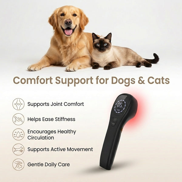 Pain Relief Laser for Pets