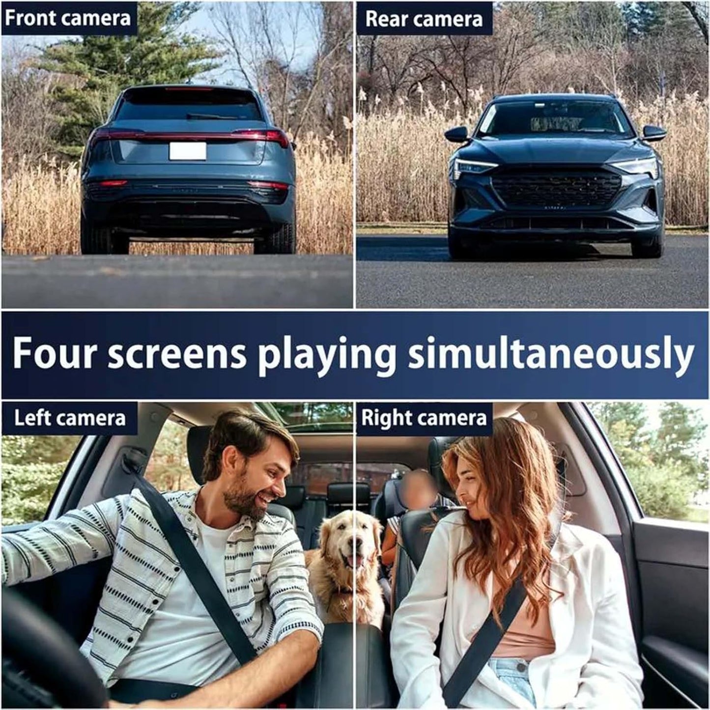 Full View Dashcam Shield